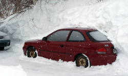 天天陪着您的无限轰炸手机软件短信下载